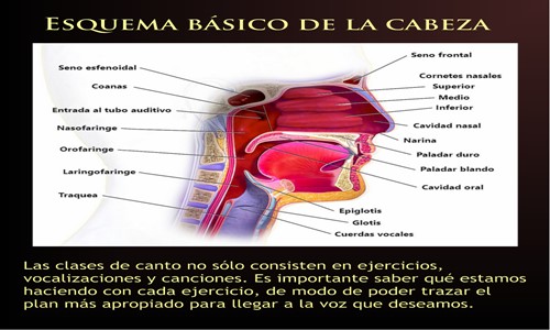 Clases de Canto en San Miguel